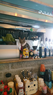 貓咪咖啡廳 Minou Minou Cafe