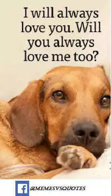 Click and get 101 best I Love You Meme that you can get anywhere else. I Love You Meme