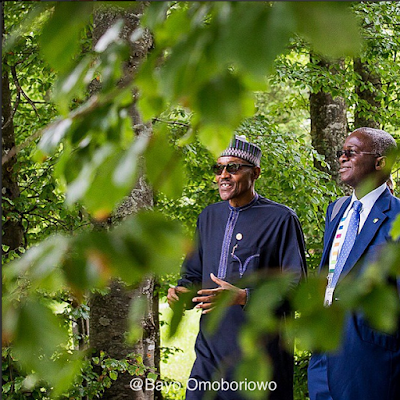 buhari fashola germany