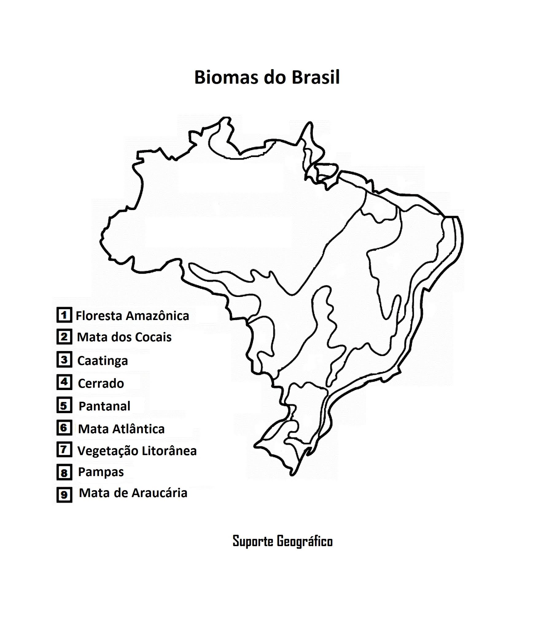 Mapa Biomas Do Brasil Para Colorir Modelo