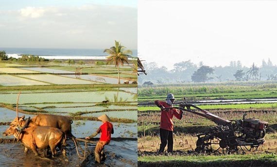 Salah satu contoh perubahan yang memiliki pengaruh besar adalah