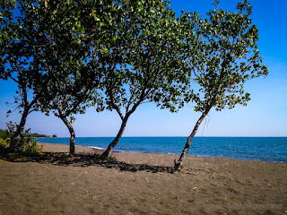 Warm Atmosphere On Tropical Beach Trees On A Sunny Day In The Dry Season At The Village Seririt North Bali Indonesia
