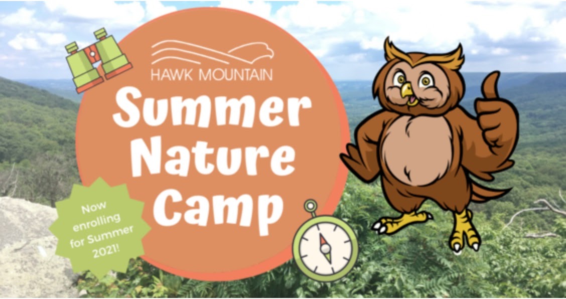 PA Environment Digest Blog Registration Now Open For Hawk Mountain
