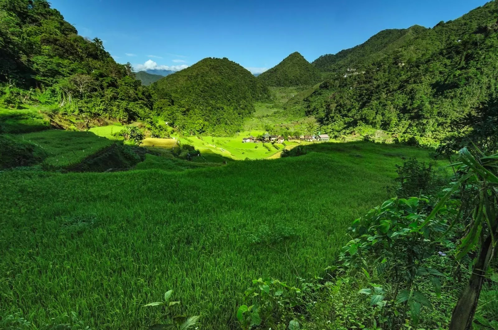 Bangaan Rice Terraces Landscape 8th Wonder Ifugao Cordillera Administrative Region Philippines Bangaan Rice Terraces Landscape 8th Wonder Ifugao Cordillera Administrative Region Philippines