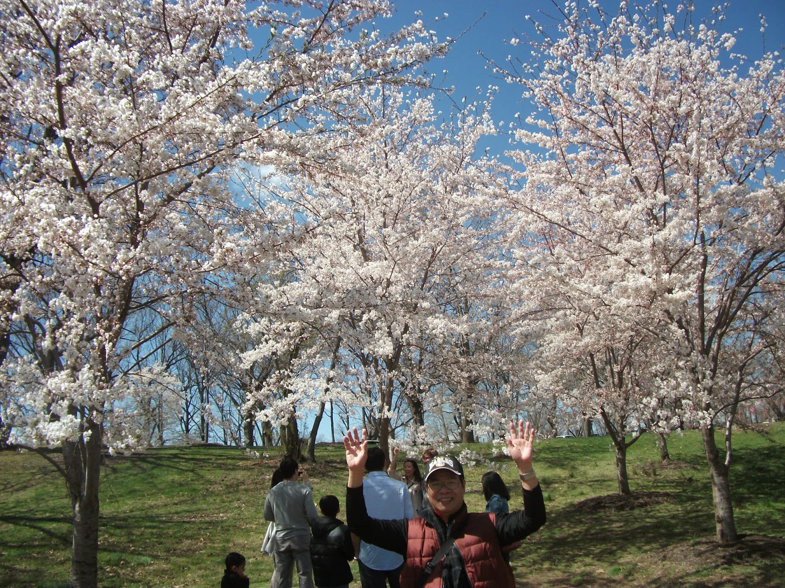 TURTLE BACK ZOO & CHERRY BLOSSOMS AT BRANCH BROOK PARK Touristang Pobre