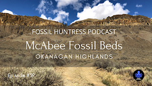 MCABEE FOSSIL BEDS / EPISODE #39
