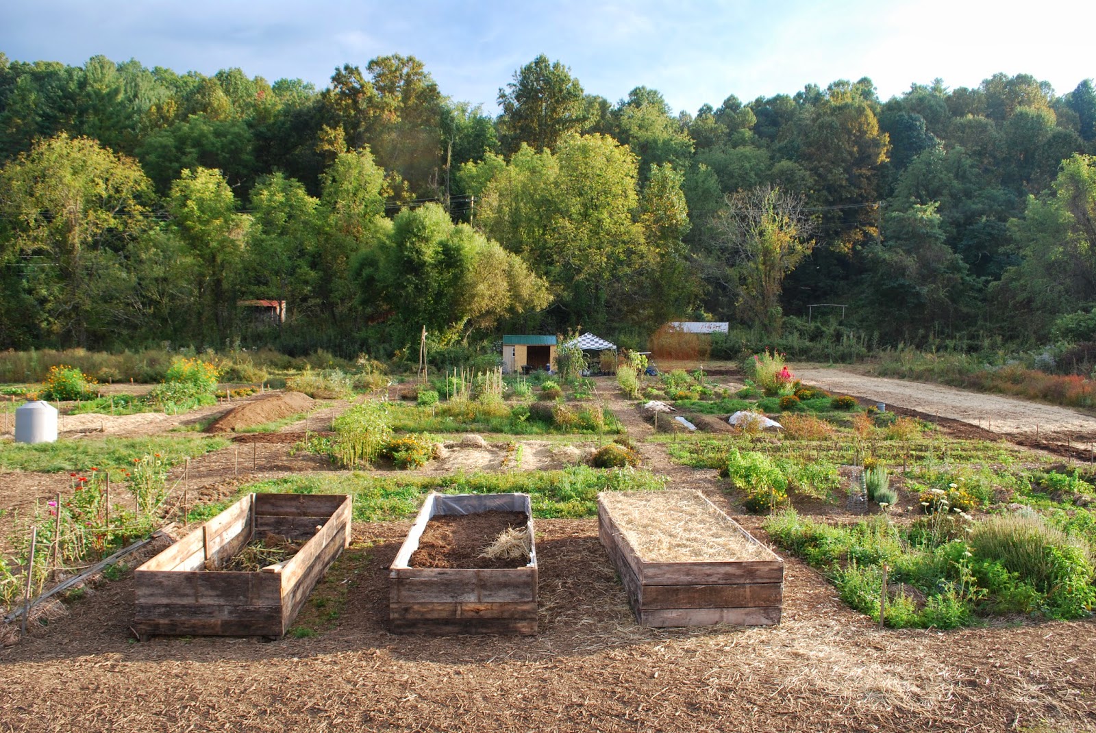 Cullowhee Community Garden