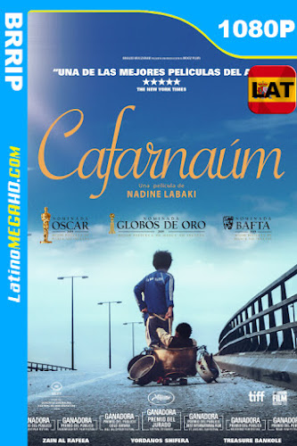 Capharnaüm (2018) Latino HD 1080P (2018)