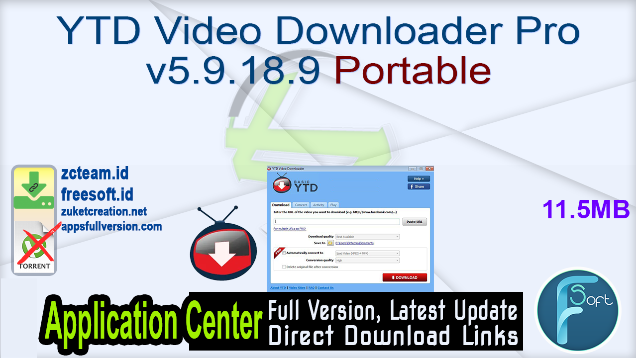 Portable downloader. Video downloader professional