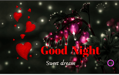 good-night-shayari-with-photo sweet-good-night-quotes-in-hindi