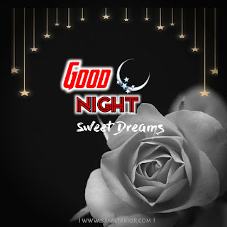 flower rose new good night images