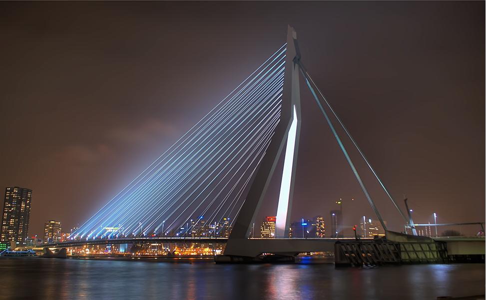 Мост лебедь