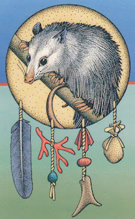 possum_0002.jpg