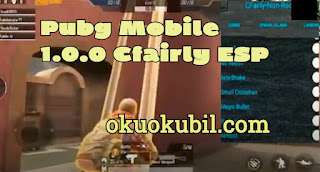 Pubg Mobile 1.0.0 Cfairly ESP Mod Menu 2.0 GL+KR Anti Ban Esp, AimBot İndir 2020