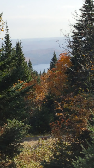 Point de vue au sommet de la Montagne Noire