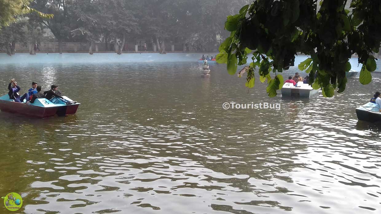 Lucknow Zoo Nawab Wajid Ali Shah Zoological Garden