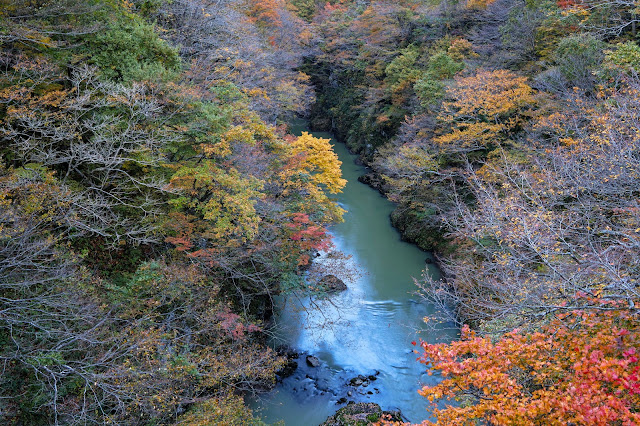 #photo #landscape #sigma #foveon #sdquattroh #japan #yamagata #tsuruoka #写真 #風景写真 #山形帝國 #山形県 #鶴岡市