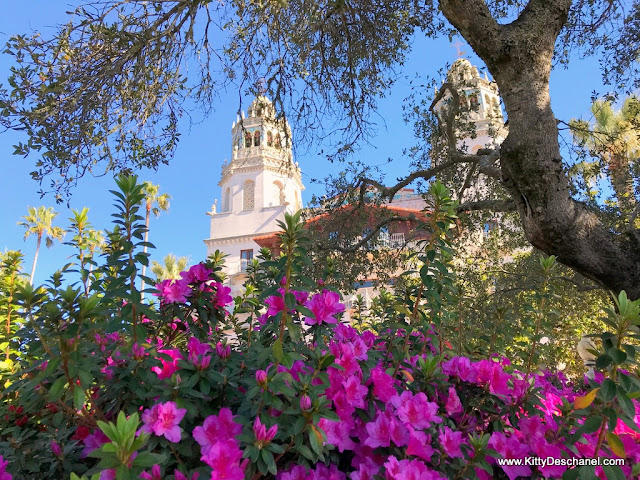 beautiful flowers in california