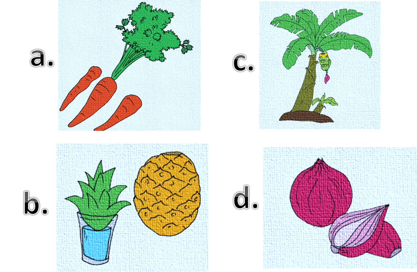 Soal Pilihan Ganda Perkebangbikan Vegetatif Untuk Kelas Vi Sd