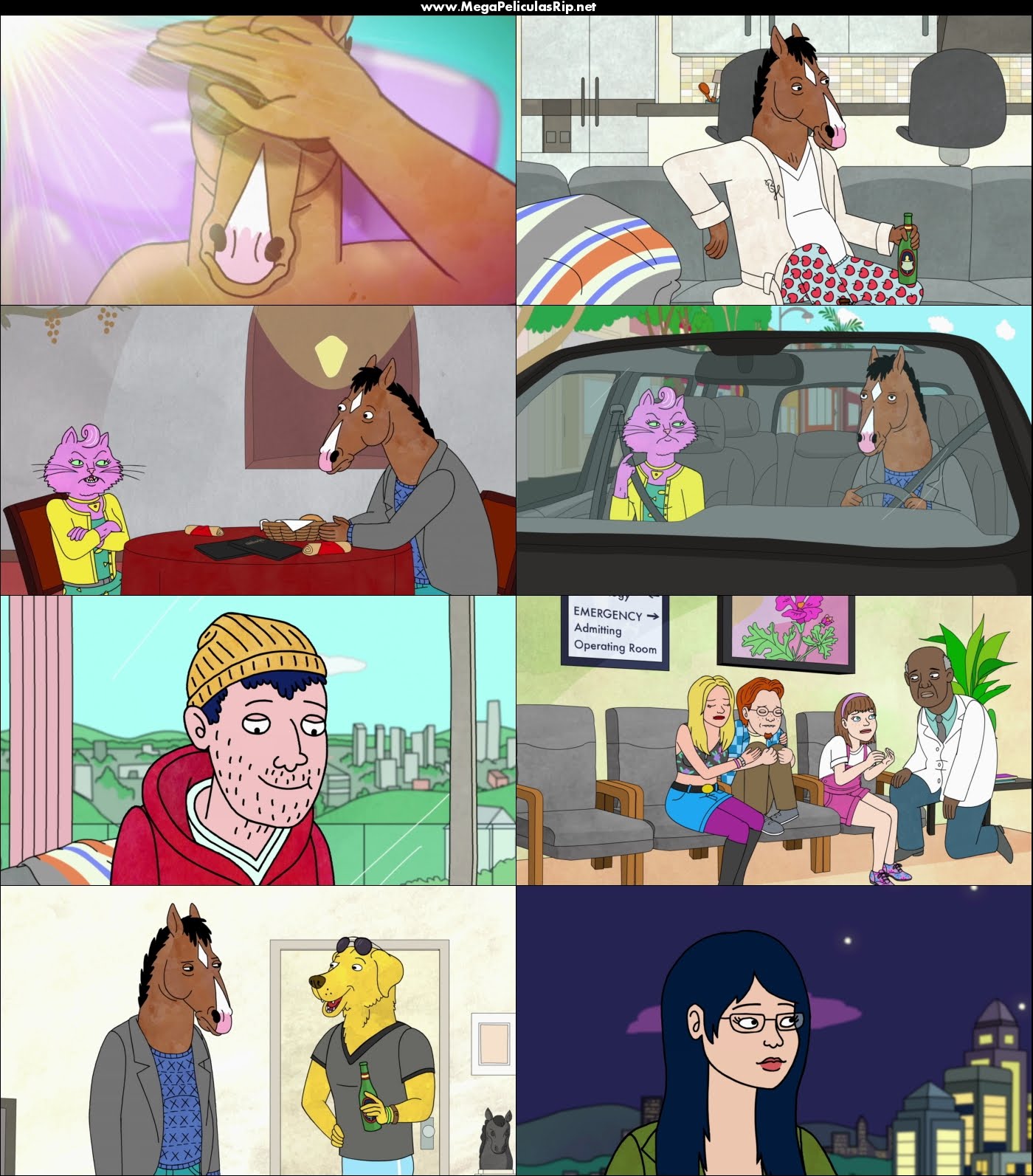 BoJack Horseman Temporada 1 1080p Latino