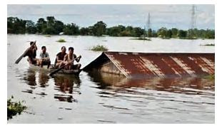 সমগ্ৰ অসমতে এতিয়া বানৰ তাণ্ডৱ।