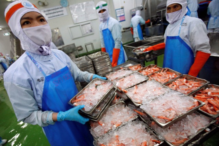 Understand Frozen Shrimp Factory Processing Step by Step Frozen