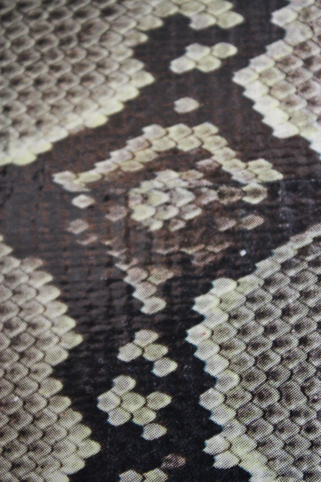 My Sweet Savannah DIY snakeskin drawer liners{with duct tape}