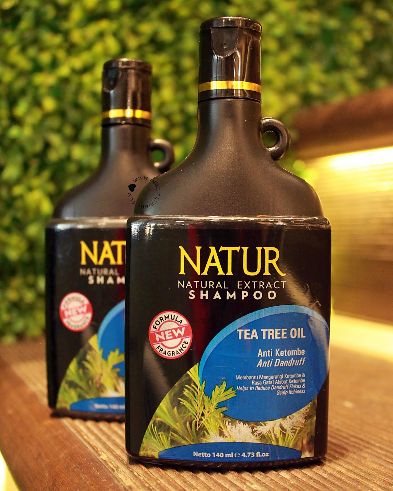 REVIEW NATUR TEA TREE OIL ANTI DANDRUFF SHAMPOO Hello, Gyt!