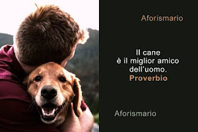 Aforismario Aforismi Frasi E Proverbi Sul Cane
