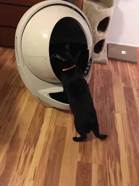 The Litter Robot