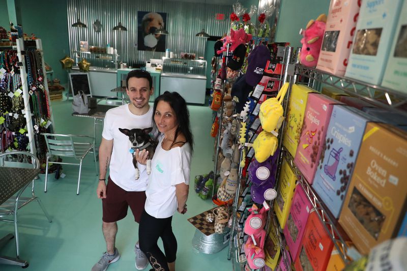 theDIZH / Ft Lauderdale NEW / Salty Paws ice cream shop in Delray