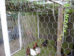 pvc pipe chicken coop gate homesteading attach permanent hinges determined mainly according individual needs