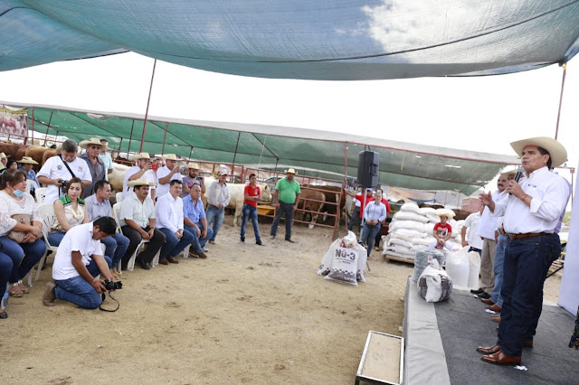  Fortaleceremos la ganadería en Huetamo: Gobernador
