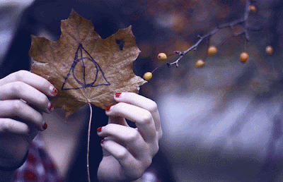 Harry Potter Gif Deathly Hallow Gif