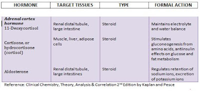 General Concepts of Endocrinology | Clinical Chemistry Blog Notes 27E