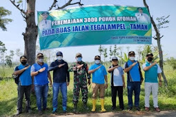 Gerakan Dinas PUPR  Bondowoso, Tanam 3000 Pohon di Pinggir Jalan