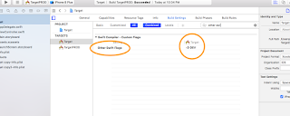 Other swift flag change from build settings in xcode