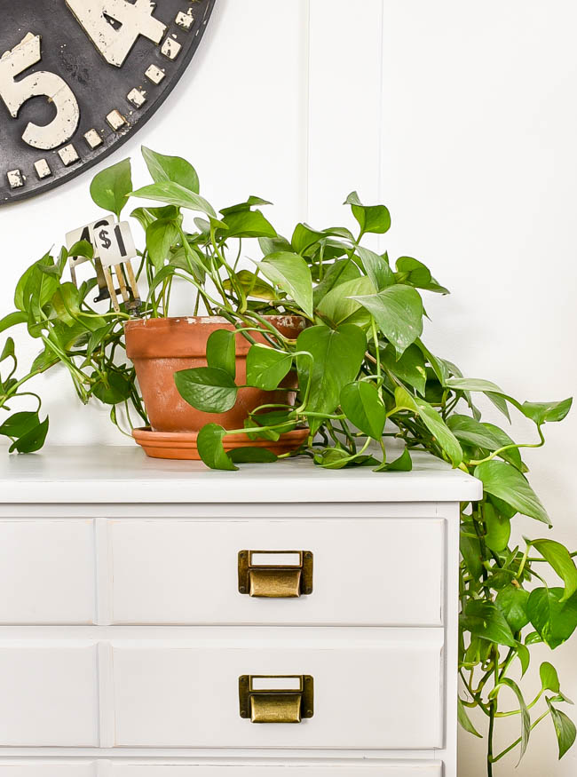 DIY Apothecary Dresser Makeover Little House of Four