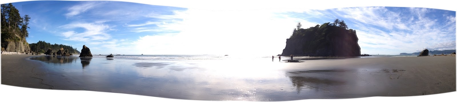Ruby Beach Cabins Travel Guide