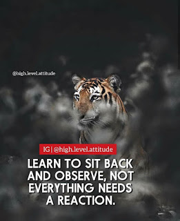 30 Motivational Lion Quotes In Pictures Courage Strength