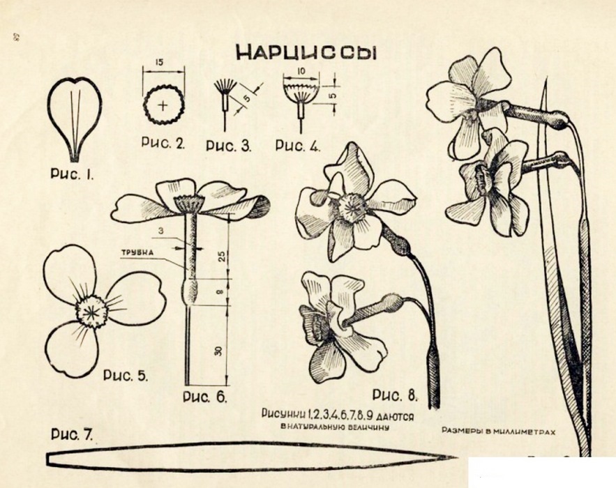 Схемы цветов из ткани. Выкройка нарцисса. Нарцисс цветок выкройка. Нарцисс лекало. Нарциссы из фоамирана лекало.