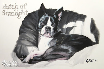 boston terrier dog basking sunshine acrylic painting