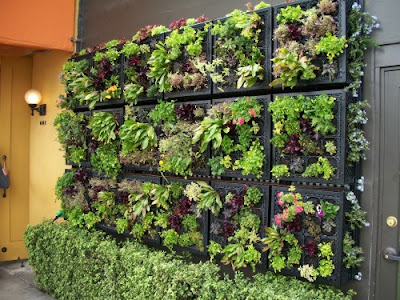 Tukang taman Suarabaya Gambar Vertical Garden (Living Wall, Green Wall/Taman Vega) Teks alternatif