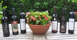 Wein Und Sektpakete Spirituosen Safte Buch Kultur U Lifestyle 1 Markgrafler Winzergenossenschaft Schliengen Mullheim Eg 6 Flaschen Rotwein