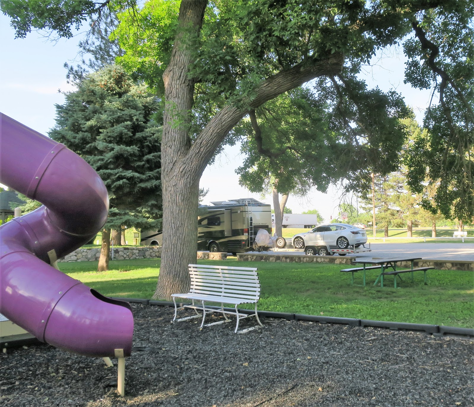 Living Rootless June 2020