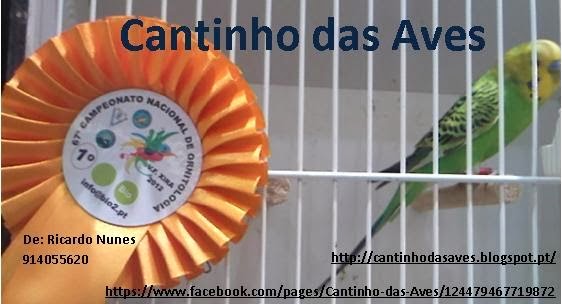 Cantinho das Aves