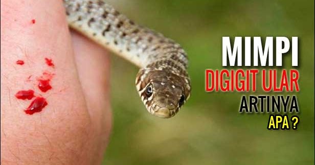 36 Arti Mimpi Digigit Ular menurut Islam dan Primbon Jawa [LENGKAP]