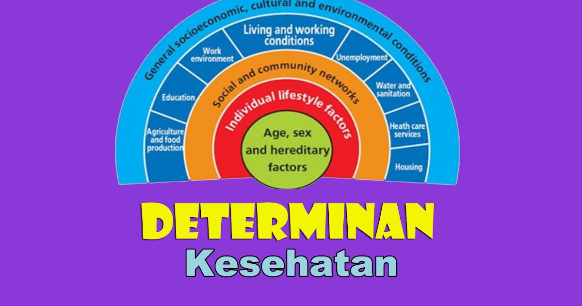 Pengertian Determinan Kesehatan  BERBAGAI HAL