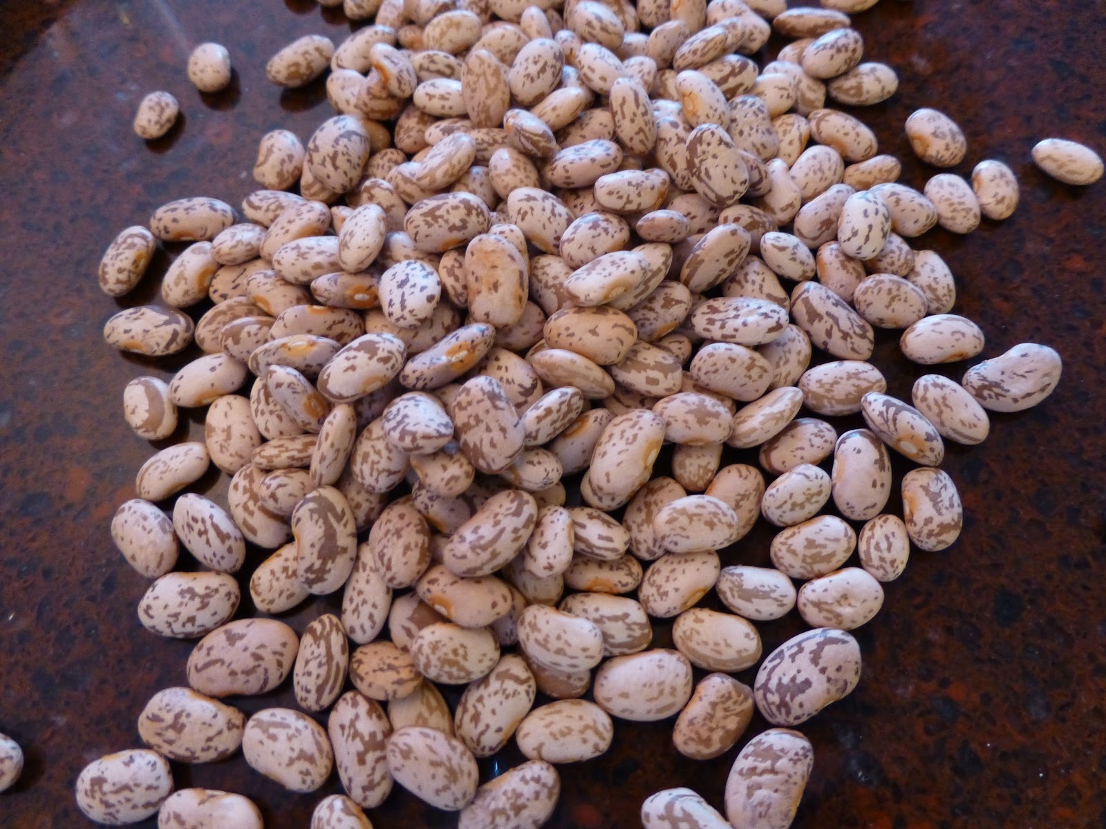 are black or pinto beans healthier are black or pinto beans healthier