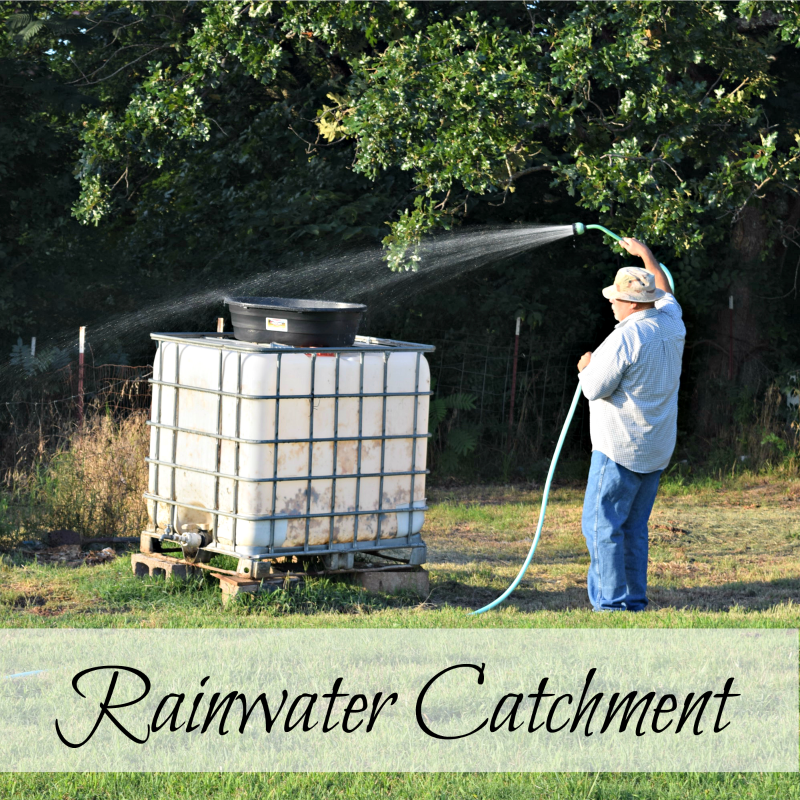 How to Catch Rainwater When You Don't Have Gutters Oak Hill Homestead
